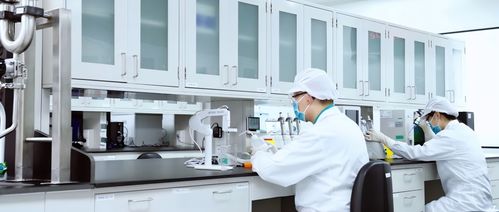 国际领先 合源生物以细胞治疗技术打造国家名片